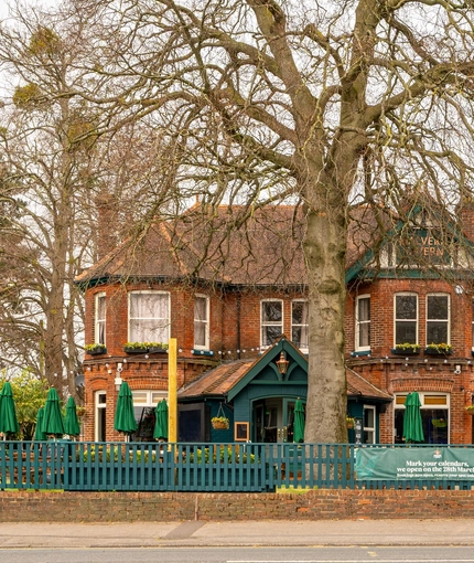 The exterior facade, signage, and beer garden seating area of the Malvern Tavern in Shirley, with a large tree in front of the building, flower boxes on the upper windows, and shade umbrellas and string lights in the beer garden.