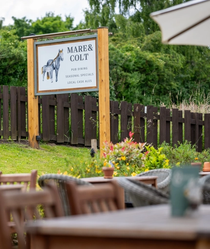 The beer garden at the Mare & Colt.