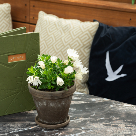 Exterior walled beer garden seating area under a wooden veranda at the rear of the Prince Of Wales.