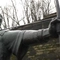 An image of the statue of Robin Hood in Nottingham.