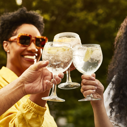 DB_C&B_Product_Mood_G&T-Cheers_2023.jpg