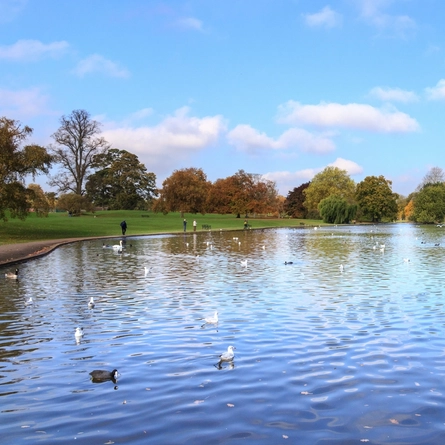 An image of Verulamium Park advertising local attractions near to Chef & Brewer venues.