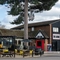 The exterior facade, signage, and beer garden seating area of The Lodge in Alvaston, with a large tree in front of the building, shade umbrellas on some of the tables, and accessible parking near the entrance.