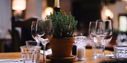 A small plant decorates the restaurant table