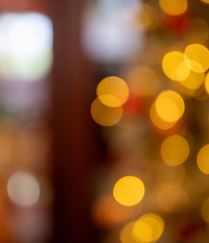 Christmas fairy lights